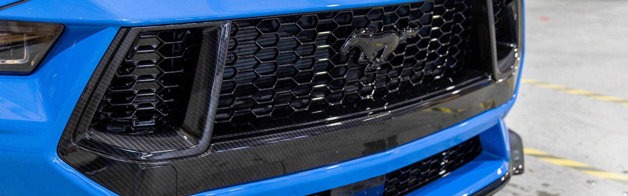 mmpw_hydrodippig_banner_mustang